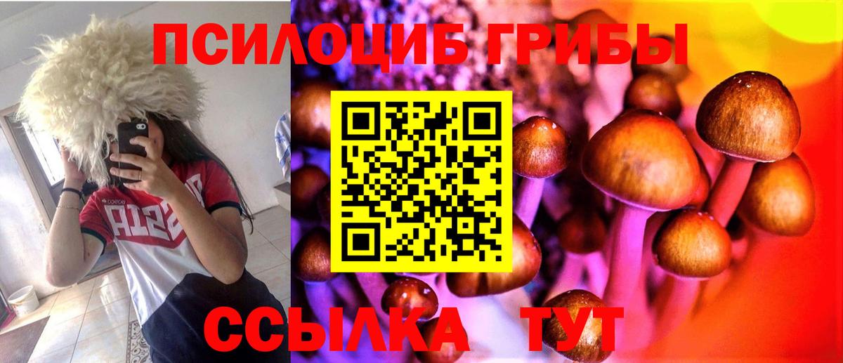Вольск  Галлюциногенные грибы Psilocybe  закладка  Галлюциногенные грибы мицелий  Вход с VPN 
