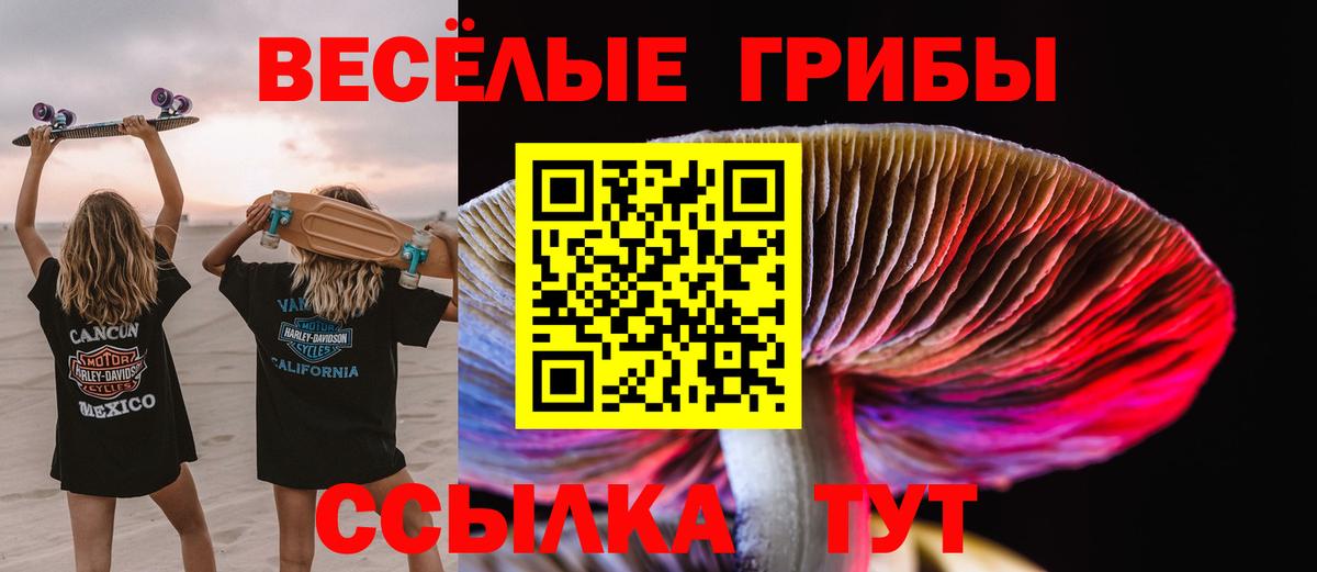 Псилоцибиновые грибы ЛСД Вольск
